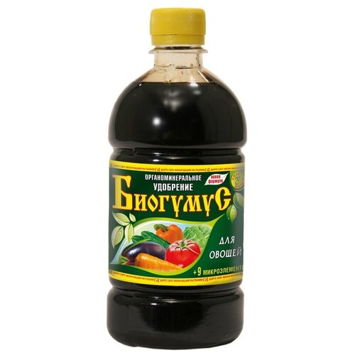 ���� ������������� ��������� 