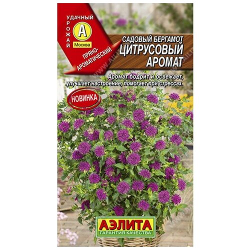 ���� ������. ������� �������� 