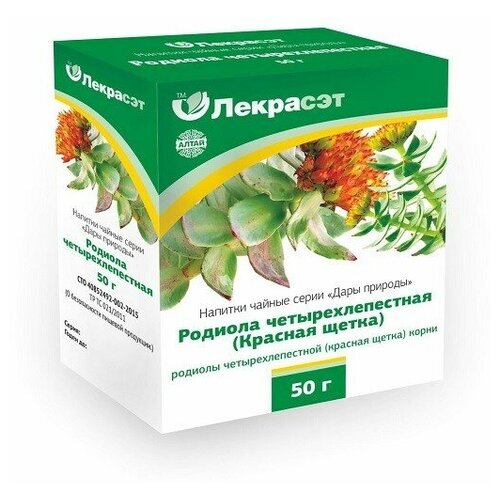 ���� �����-��� ����� � ��������� ������� ���������������� (������� �����) (����� 