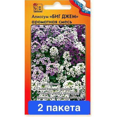 ���� ������ ������ ������� ������ 