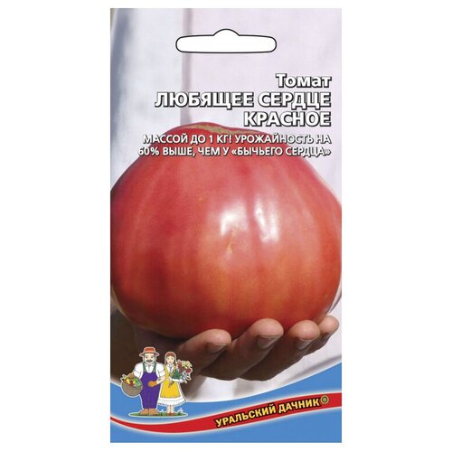 ���� ������ ��������� ������ ����� ������� ������ �������, ������ �� 131 ���