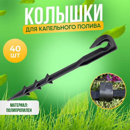 ���� ������� ��� ��������� ��������� ������ 16�� ������������, ����� 40 ��, ������, ������ �� 1604 ���