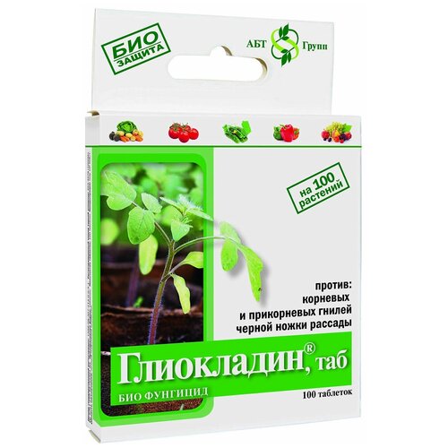 ���� ����������������� �������� ��� ����������� ����� ����������, 24 �, ������ �� 169 ���