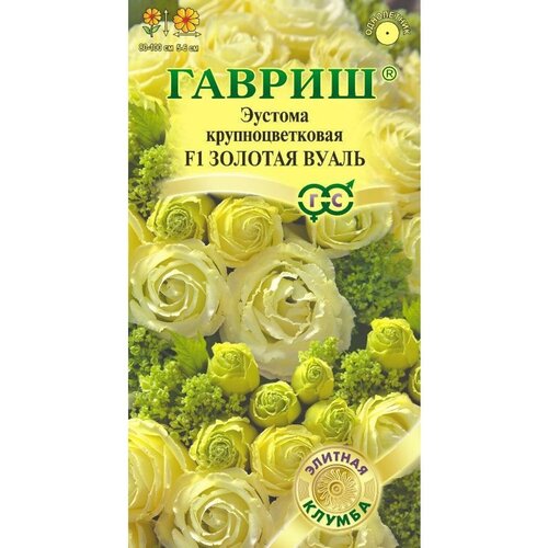 ���� ������. ������� ��������������� 