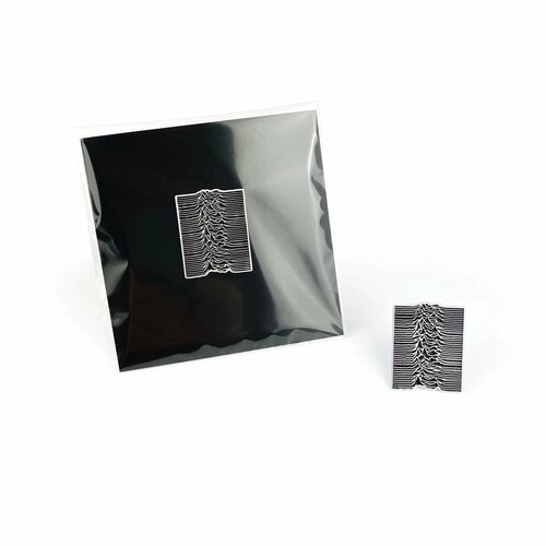    / Little Pins / Joy Division /  /    -     , -, 