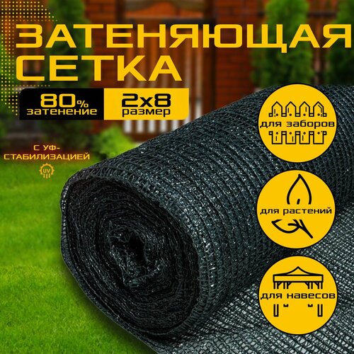 ���� ����� ���������� ��� �������� 2� � 8� - 80 ��/�2 - ��������, ��� �������, �������, �������, ������, ������ �� 1792 ���