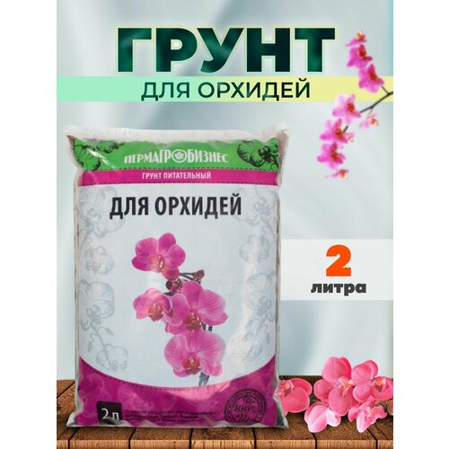 ���� ����� ��� ������� 2�, ������ �� 299 ���