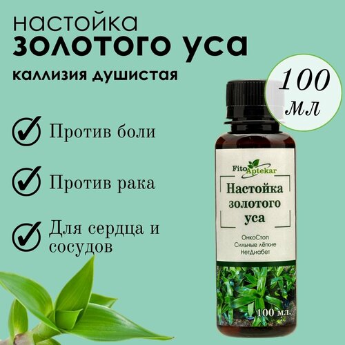 ���� �������� �������� ��� 