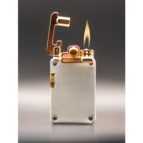 ���� ��������� ���������� ���������� ����� ����, ������ �� 3145 ���