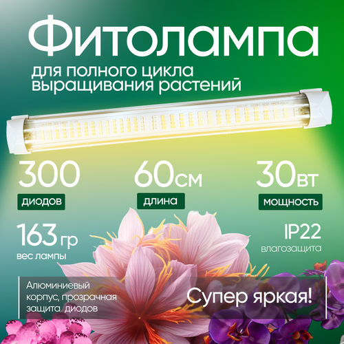    , 30, 60,   ,    ,   3100 