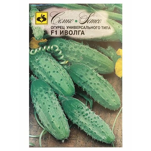 ���� ������ ������ ������ F1 5�� ������������������ ������ (�����), ������ �� 278 ���