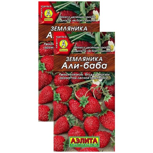 ���� ��������� ���-���� (0,04 �), 2 ������, ������ �� 249 ���