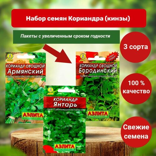 ���� �������� (�����) ������. ����� ���������� ����� ���������, �����������, ������. ����� ����� 3 ������. ��������� 