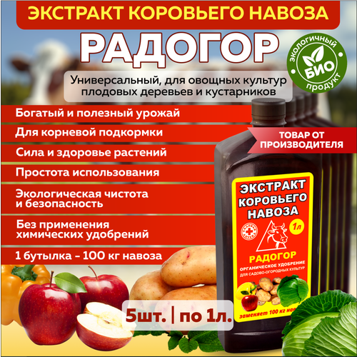 ���� �������� ��������� ������� ����������� �������� �������� 1�, 5 ����, ������ �� 788 ���