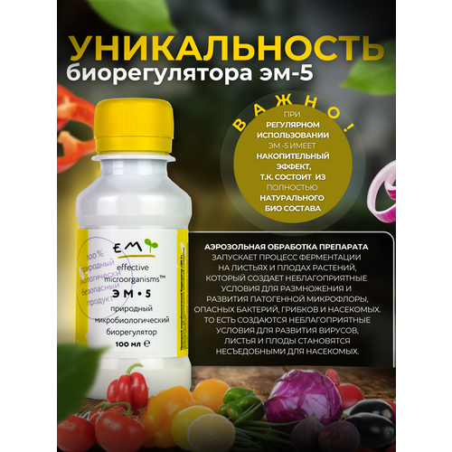 ���� ������ �������� �� ���������� � ��������, ������������� ��������� ��-5, ������ �� 600 ���