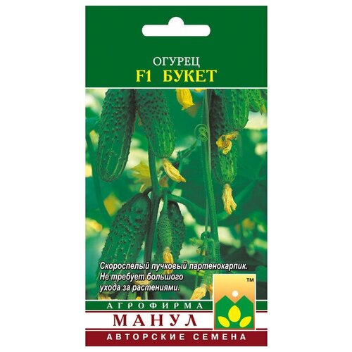 ���� ������ ����� 