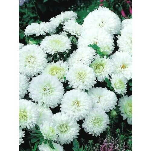       - 0,2 .      ,   162 