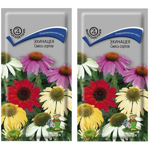 ���� �������� ����� ������ (0,1 �), 2 ������, ������ �� 239 ���