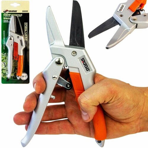 ���� ������� ������� (��������) � �������� ���������� (��� ������), ����������������, �������� �����. ���� 24 ��., ������ �� 1694 ���