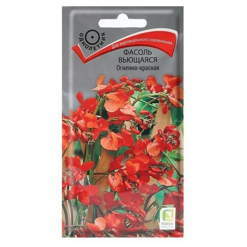 ���� ������ ������ ������ �������� 