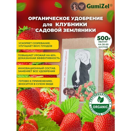  GumiZel     / /   ,      500   -     , -, 