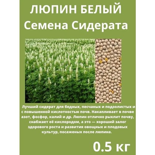 ���� ������ �������� ����� ����� 0.5 ��, ������ �� 160 ���