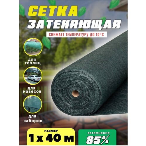 ���� ����� ���������� �������, ��������� 85%, ������ 1�40�, ������ �� 2803 ���