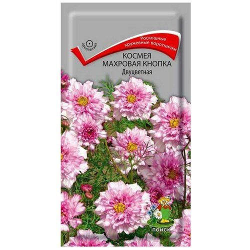 ���� ������ ������ ����� �������� ������ ���������� 0,1 �, ������ �� 90 ���