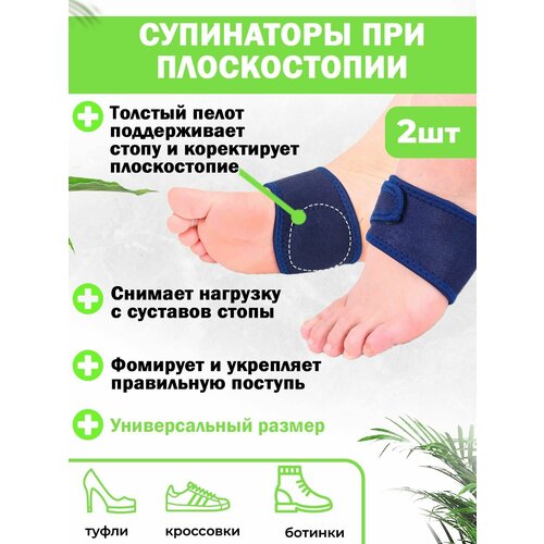 ���� ������� ���������� ��� ������������ � �������� ���������� QuisLife, 1 ����, �����, ������ �� 310 ���