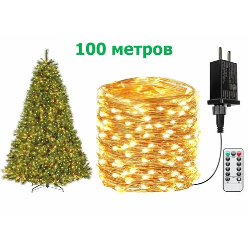 ���� ��������������� ���� ������������ ���� ������� 100 �. ��� ��������, ���� Ҹ���� �����, ������ �� 2555 ���