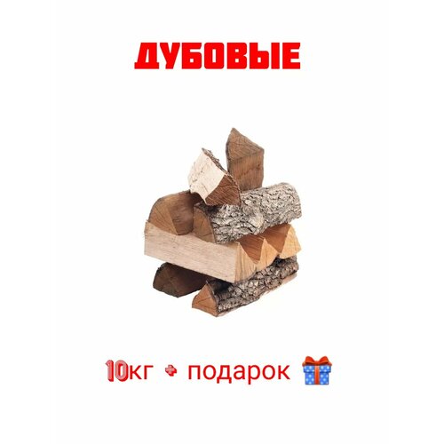 ���� ����� ������� ��� ���� ����� ���� ������� 10��, ������ �� 1280 ���