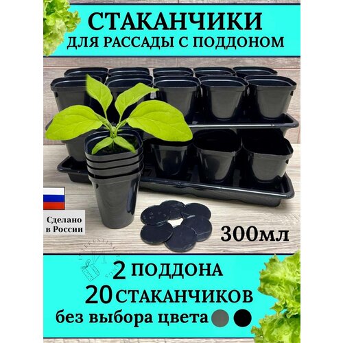 ���� ���������, �������� ��� ������� 300 ��, 20 ��, 2 �����, ���������� �� ������� ����, ������������, ������ �� 676 ���