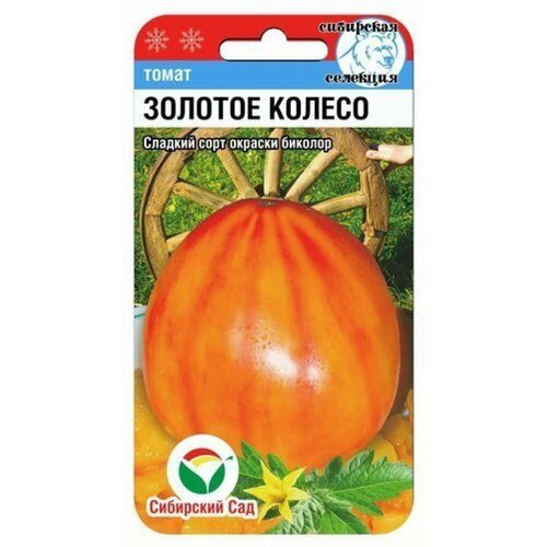 ���� ������ ����� ������� ������ 20�� ����� (��������� ���), ������ �� 51 ���