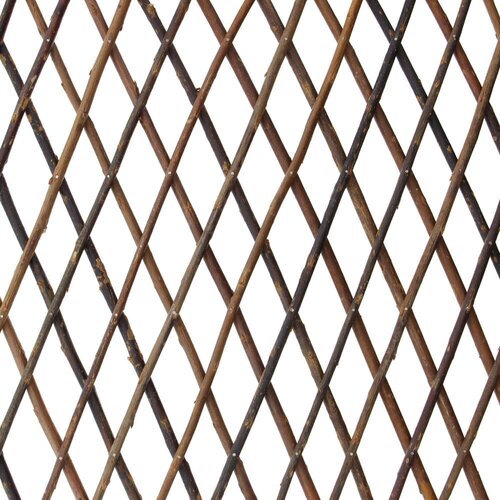 ���� ������� ������������, ������ �� 1513 ���