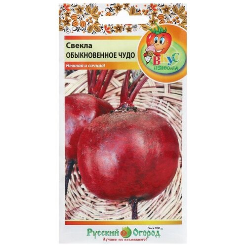 ���� ������ ������ ������������ ���� 120�� �������� (������� ������) ����������, ������ �� 46 ���