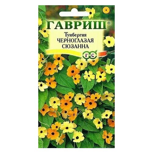 ���� ������ ��������� �������� ����������� ������� 0,3 � (������), ������ �� 300 ���