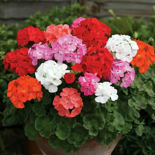   ()  ,        ,    , 4 ,   313 