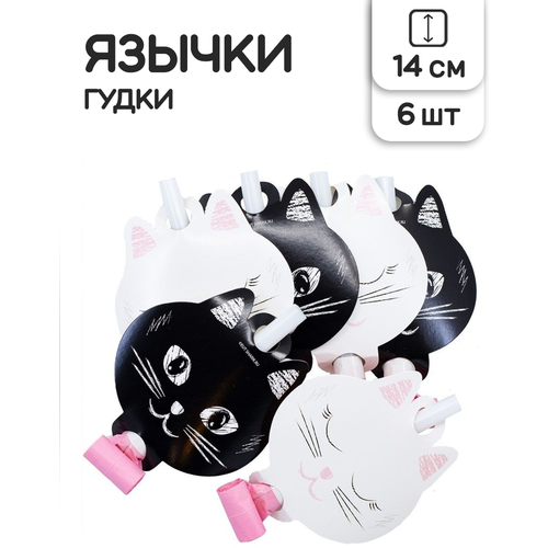 ���� ������-����� ��������� Riota ������, ����� 6 ��, ������ �� 318 ���