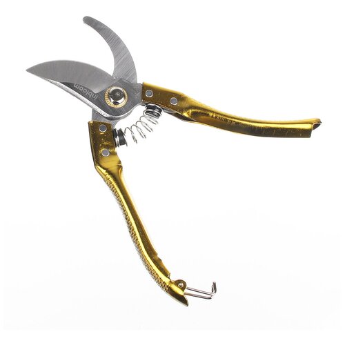  INBLOOM  , 21,   ,  65,   342 