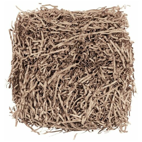 ���� �������� ����������� ��� ������� �������� ����� Chip, ������ �� 365 ���