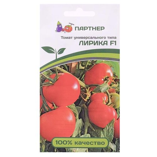 ���� ������ ��������� ������� ����� ������ F1, 0.1 �, ������ �� 249 ���