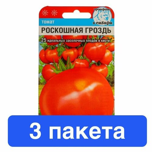 ���� ������ ������ ��������� ��� 