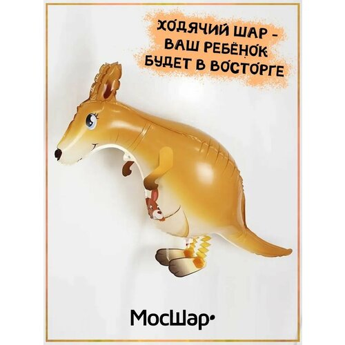 ���� ��������� ��� ������� ������ �������, ������ �� 261 ���