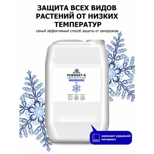 ���� �������� ������ �������� ������-� ������������� ��� ������ �������� � ������������ �� ������ ���������� ������ (Purshat)10�, ������ �� 7125 ���