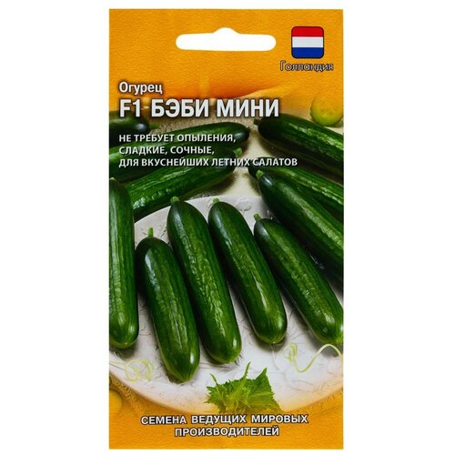 ���� ������ ������ ������ ���� ���� F1 5 ��, ������ �� 153 ���