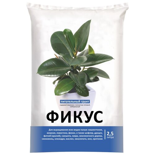 ���� ����� ���-���� ��� �������, 2.5 �, 2.5 ��, ������ �� 170 ���