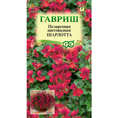 ���� ������, ���������� ��������, ��������� 3 ������, ������ �� 882 ���