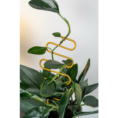 ���� ����� ��� �������� �������� ������ �������, ������ �� 449 ���