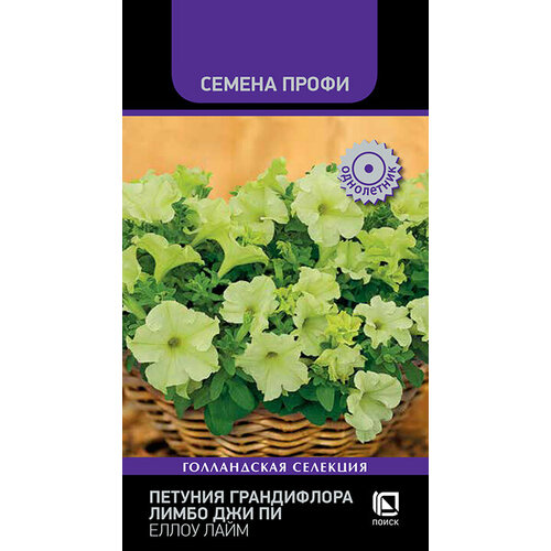  , ,        10. (),   144 