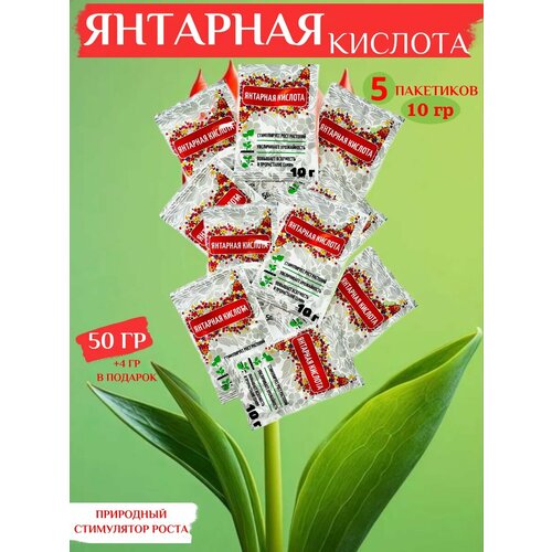 ���� �������� ������� ��� �������� 50 �� (5*10), ������ �� 190 ���